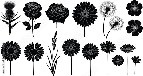 Silhouette set of wild and garden flowers, black roses daisies and dandelions collection, botanical nature element, cad drawing flat vector illustration