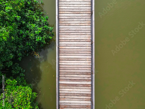 Green mangrove trees beside the river, A scenic landscape view of lush green mangrove trees