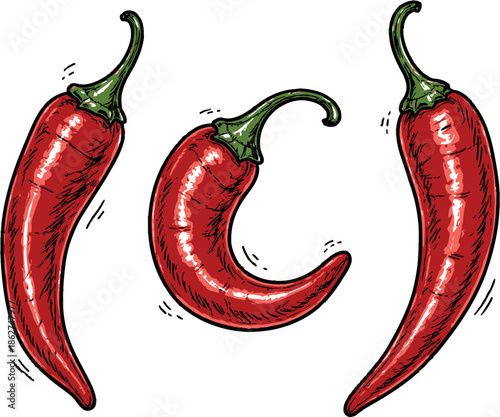 Hand drawn line art chili pepper set featuring three red hot peppers for cooking and spicy food recipes