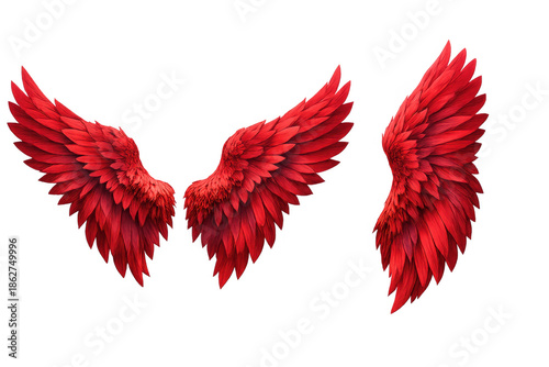 Bright red large feather wings with several views and angles. Concepts of fantasy, legend, or freedom. Transparent background