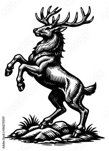 Hand drawn line art illustration of a stag depicting a majestic rampant pose for classic heraldry design