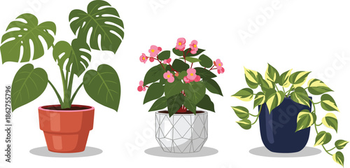 Indoor Houseplant Illustration Set with Potted Tropical Plants and Flowering Greenery for Home Decor, Botanical Design and Modern Interior Decoration