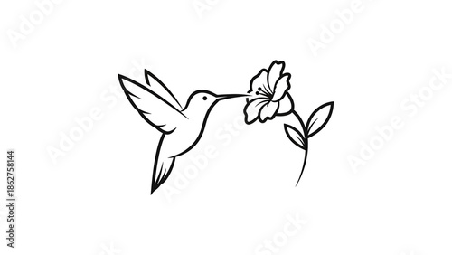 A simple, elegant line drawing depicting a hummingbird reaching toward a flower. The image is clean and white-backgrounded