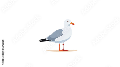 A simple, cartoon illustration of a seagull standing on a light brown patch. The bird is facing right with its beak and legs visible