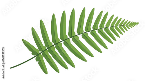 A simple, green fern leaf illustration on a white background. Features a detailed, artistic depiction of the plant's texture. The leaf points diagonally