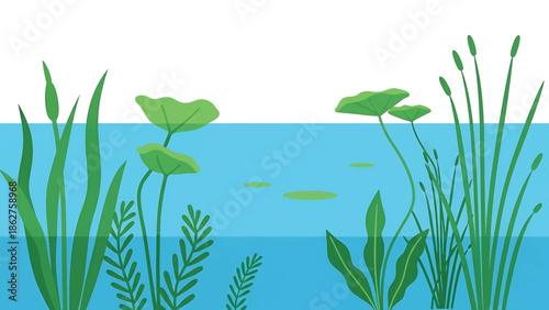 A simple illustration of a serene aquatic scene. Reeds, lily pads, and other aquatic plants grow in the water and border the edges