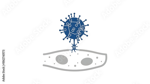 A simplified illustration depicting a virus attacking a cell. The virus, blue, connects to the cell's surface, drawn in gray with internal circles. White background