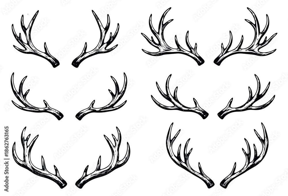 Fototapeta premium Hand drawn line art deer antlers set featuring multiple rustic designs for various design elements