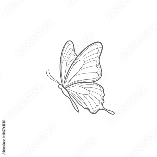 A delicate butterfly in flight with intricate wing details and body