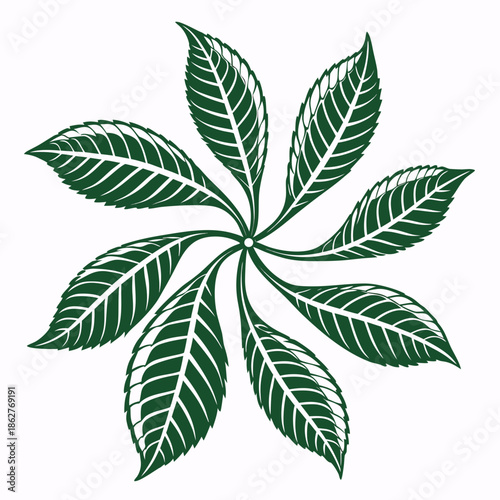 Green leaves arranged like rotating turbine on white background