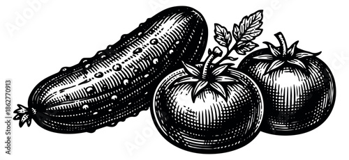 Engraving style vegetable set featuring a cucumber and two tomatoes for healthy eating and cooking