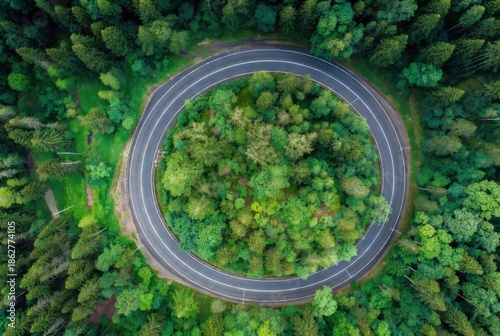Aerial view of a circular forest road enclosing dense greenery, showcasing symmetry and harmony between nature and infrastructure.