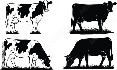 Cow,silhouette,black,white,dairy,cattle,farm,animal,livestock,agriculture,grazing,standing,pasture,milk,rural,nature,vector,illustration,design,concept