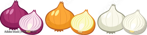 Set of onions isolated on white. Onion vegetable: red onion, yellow onion, white onion. Cook ingredients, spices. Organic food. Vector illustration in flat style.