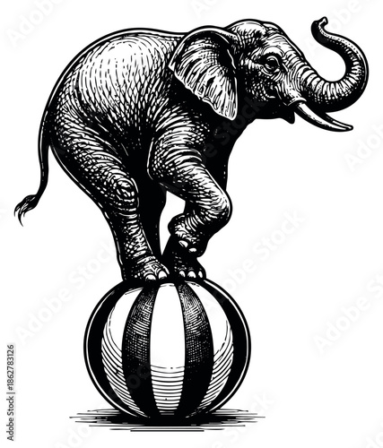 Engraved style illustration of an elephant depicting a balance act on a striped ball for circus performance
