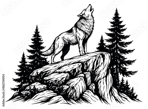 Hand drawn line art illustration of a howling wolf depicting wildlife in nature