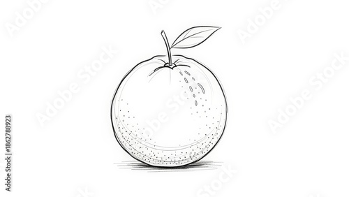 A detailed black and white line drawing of a single orange with a stem and a leaf, featuring subtle shading and texture.