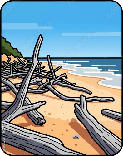 A beach scene with driftwood scattered on sand, leading to a calm blue ocean under a clear sky