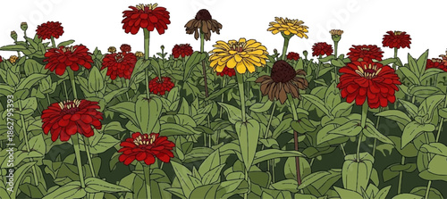 A garden of red and yellow flowers with green leaves under a white sky