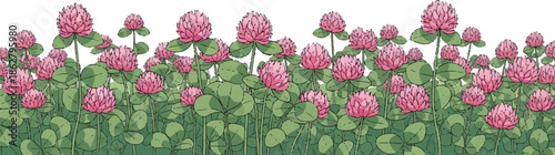 A dense field of pink clover flowers with lush green leaves and stems