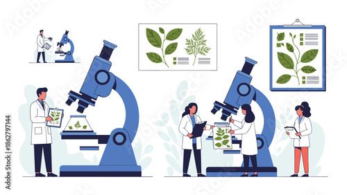 Set of scientists and researchers in lab coats studying plant samples and leaves with microscopes for botanical research.