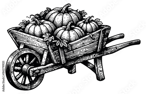 Hand drawn line art illustration of a wooden wheelbarrow depicting pumpkins and autumn leaves for harvest festival design