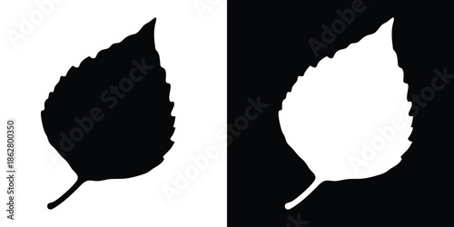 Birch leaf silhouette vector, black and white birch leaf icon