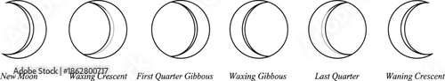 Phases of the moon in a lunar cycle