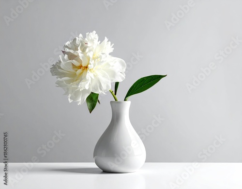 Elegant white peony flower in a minimalist white vase against a neutral background