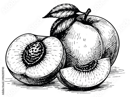 Hand drawn line art peach set featuring whole, half, and sliced fruit for healthy food design