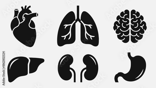 A collection of black and white icons representing human organs including the heart, lungs, brain, liver, kidneys, and stomach.