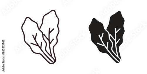 Lettuce icons linear icon. Line with Editable stroke. monochrome icon