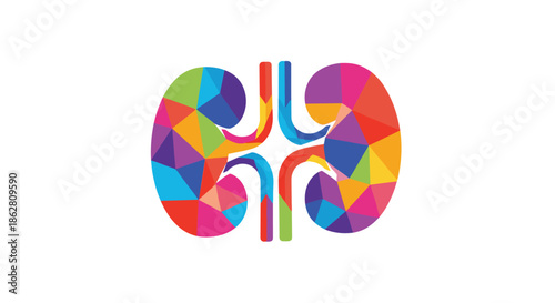 Creative illustration of human kidneys made from colorful geometric polygons representing health and medicine.