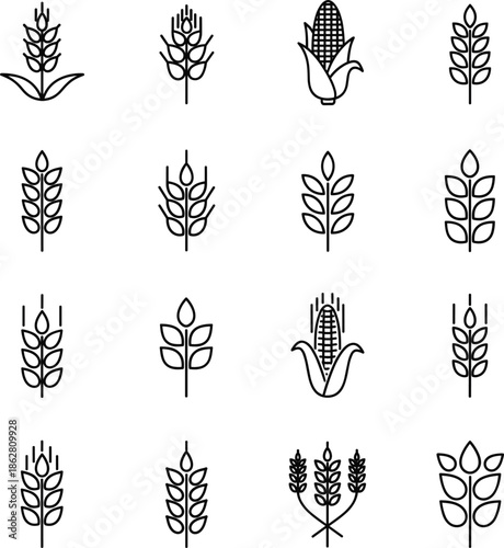 PrintSet of agriculture line icons featuring wheat stalks, corn on the cob, cereal grains, barley ears, and organic oats.