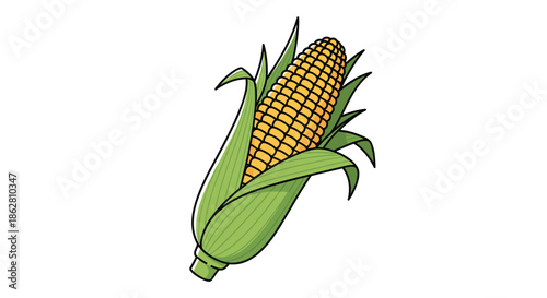 Illustration of a fresh ear of corn with golden kernels and green husks representing agriculture and healthy food.