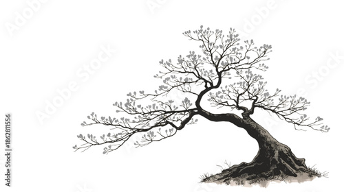 Stylized Japanese Bonsai Tree Illustration with Delicate Light Leaves on a Transparant Background