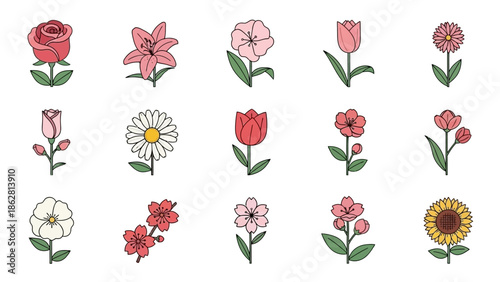 Collection of various colorful flower types.