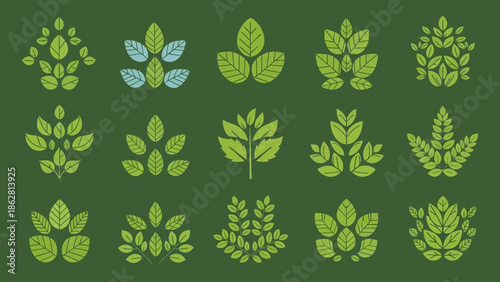 Collection of various green leaf shapes.
