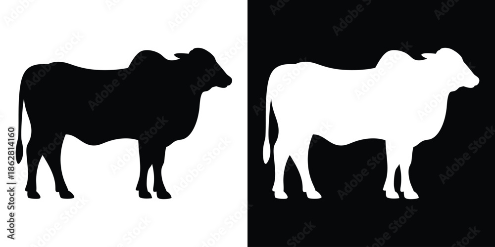 Obraz premium Brahman cow silhouette, zebu cow silhouette vector