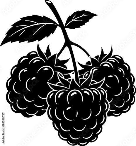 Stylized Raspberry or Blackberry Silhouette Vector Illustration