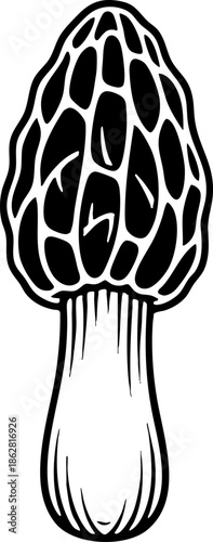 Engraved Morel Mushroom Black and White Vector Drawing