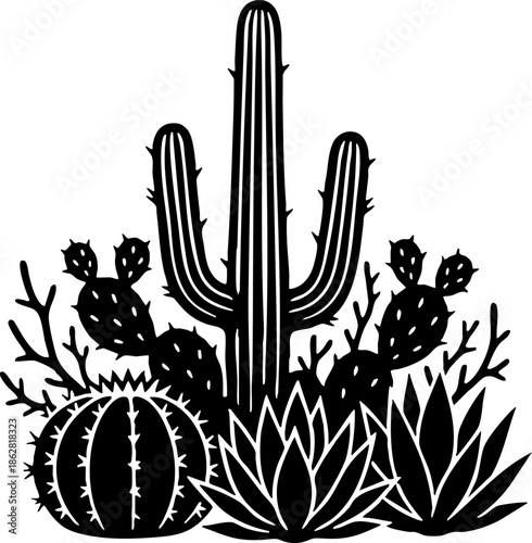 Black and White Cactus and Succulent Desert Plant Illustration