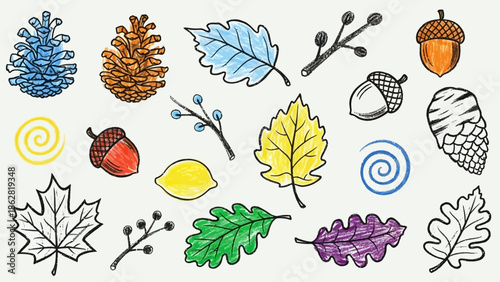 Collection of leaves and acorns illustration.