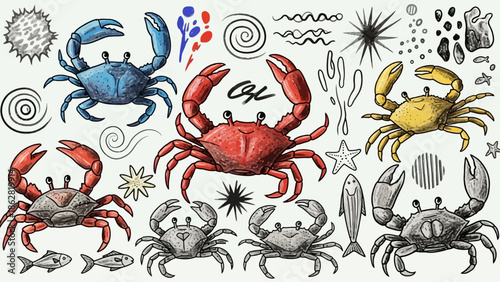 Colorful crabs in various poses side view.