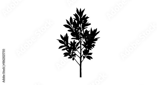 Elegant silhouette of a flourishing tree against a pristine white background isolated shape