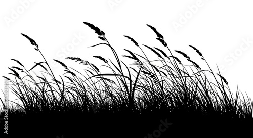 Monochrome vector silhouette of grass and wheat plants isolated on white, creating a stark