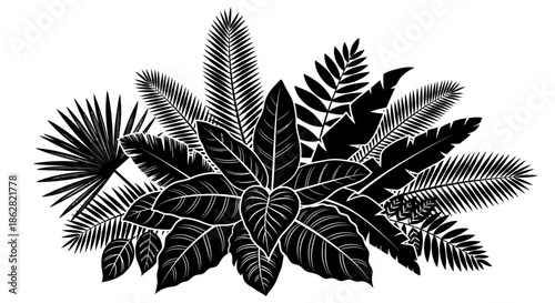 Monochrome tropical foliage arrangement in vector format offers a botanical design