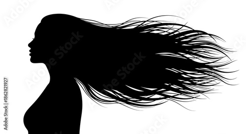 Elegant silhouette of a woman with flowing hair, expressing beauty and freedom