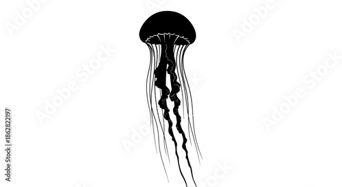Striking jellyfish silhouette art displaying marine life beauty in black and white