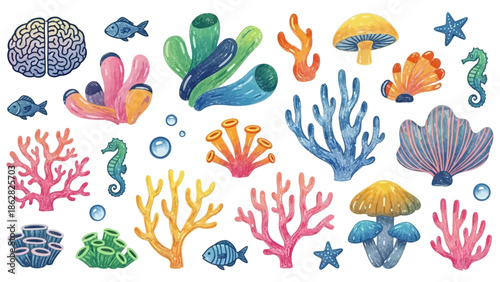 Colorful coral reef marine life collection.